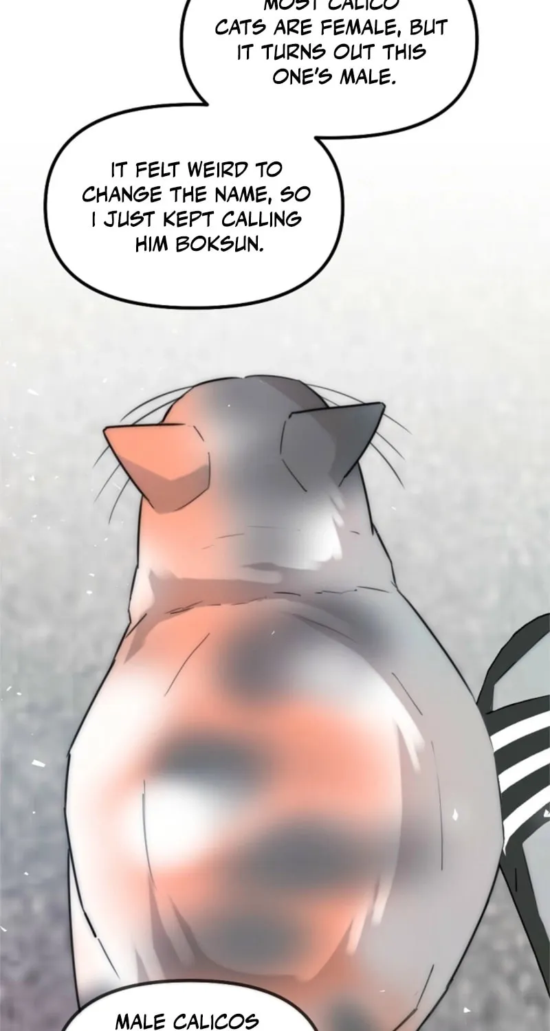 The Teacher in the Trap Chapter 8 page 54 - 
