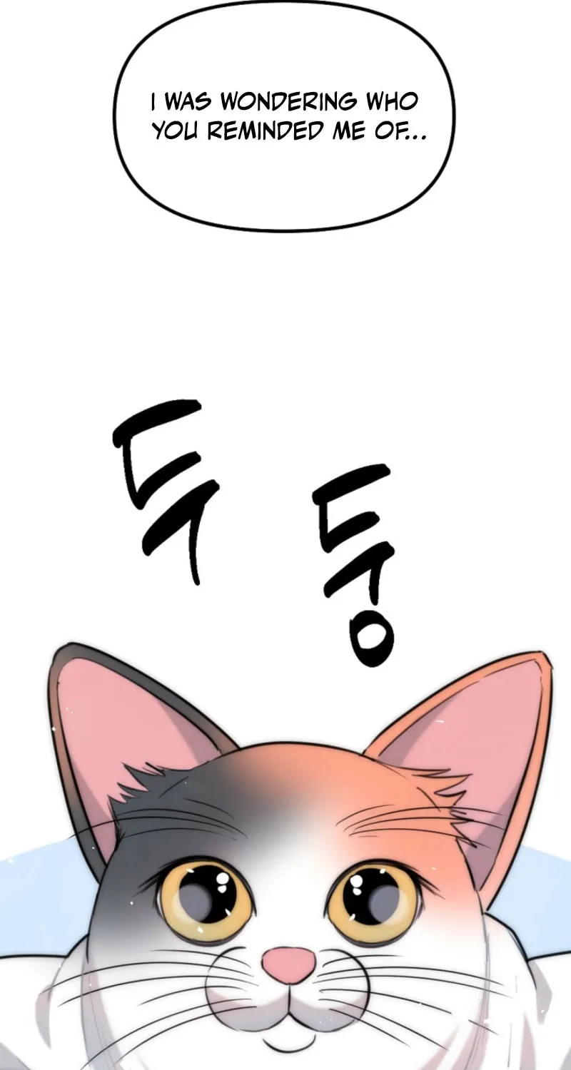 The Teacher in the Trap Chapter 9 page 11 - 