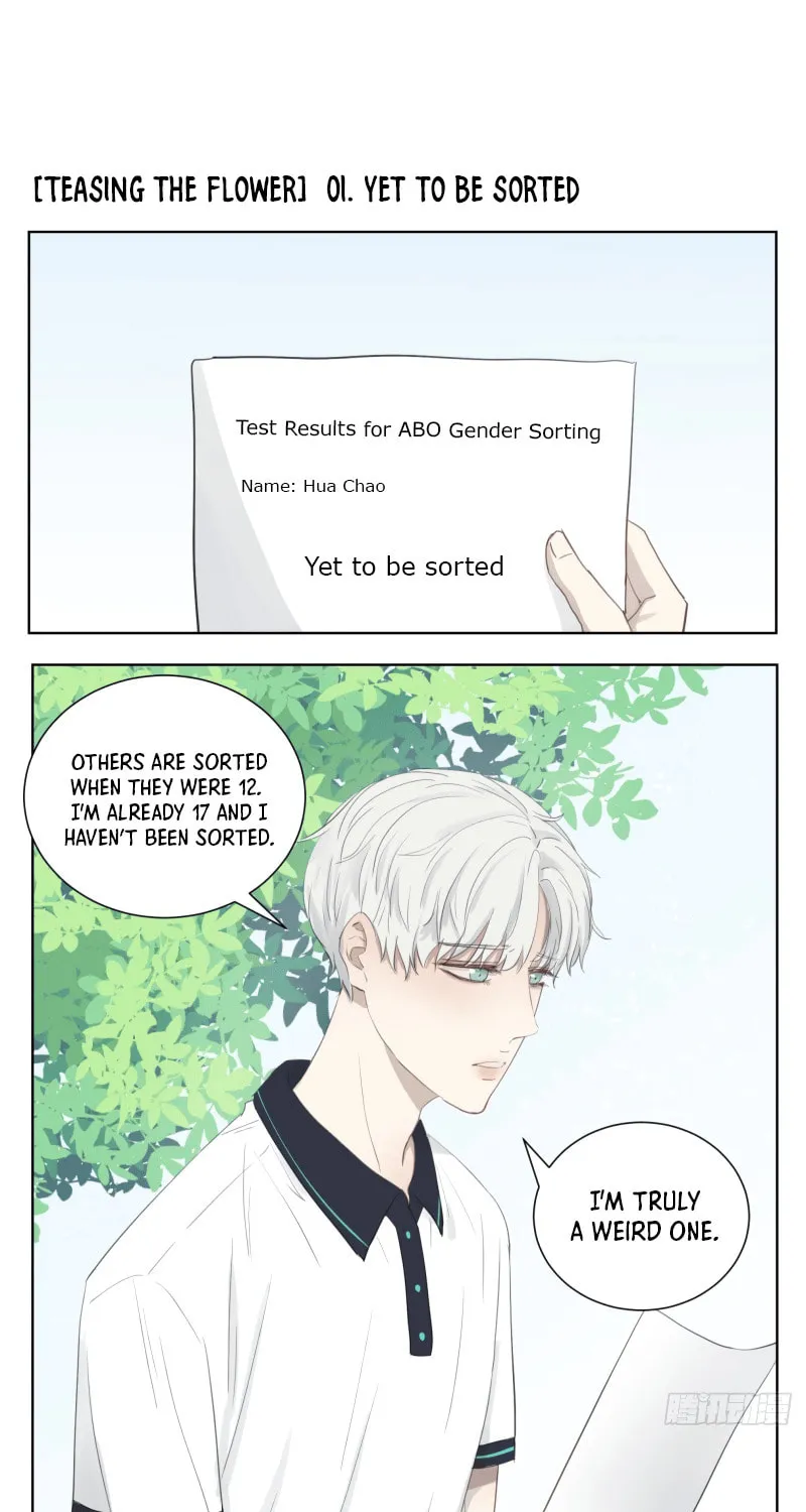 The Teasing Flower Chapter 1 page 1 - 