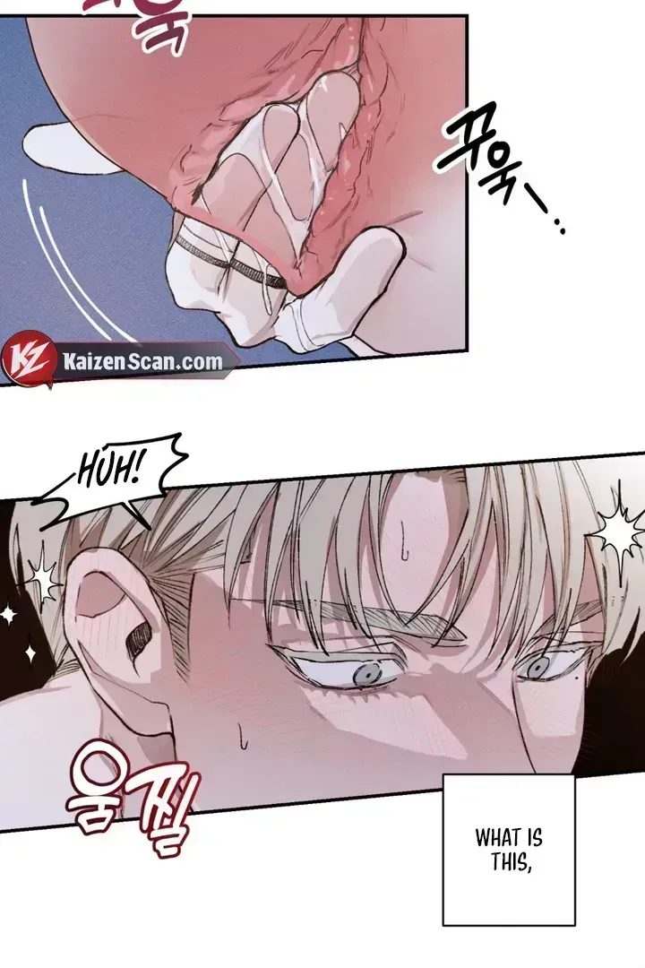 The Third Decade Chapter 5.1 page 46 - 