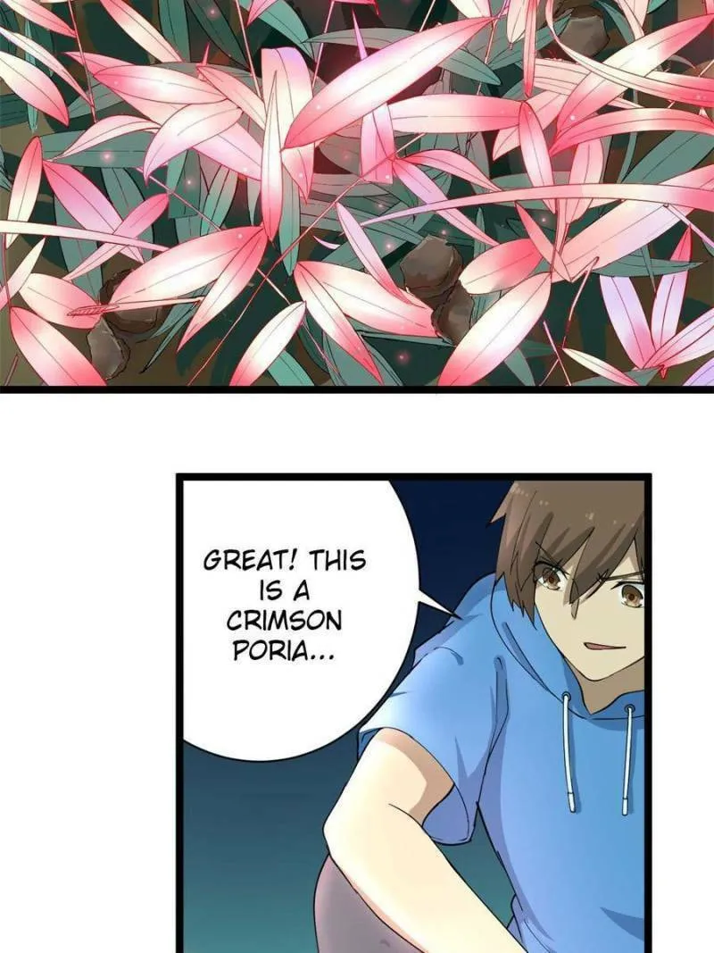 The Three Realms Online Shop Chapter 30 page 4 - 