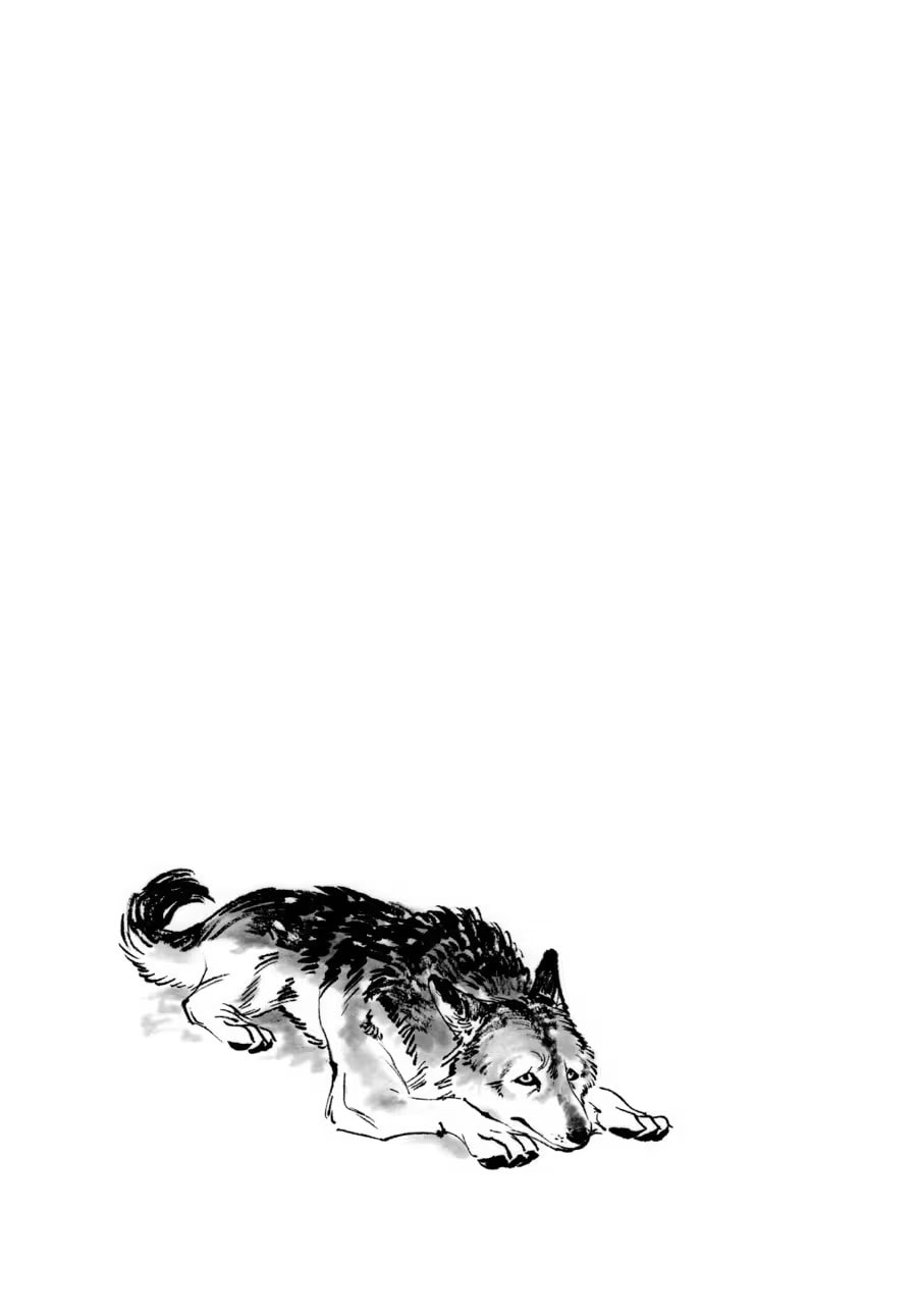 The Tiger Won't Eat the Dragon Yet. Chapter 0 page 145 - 