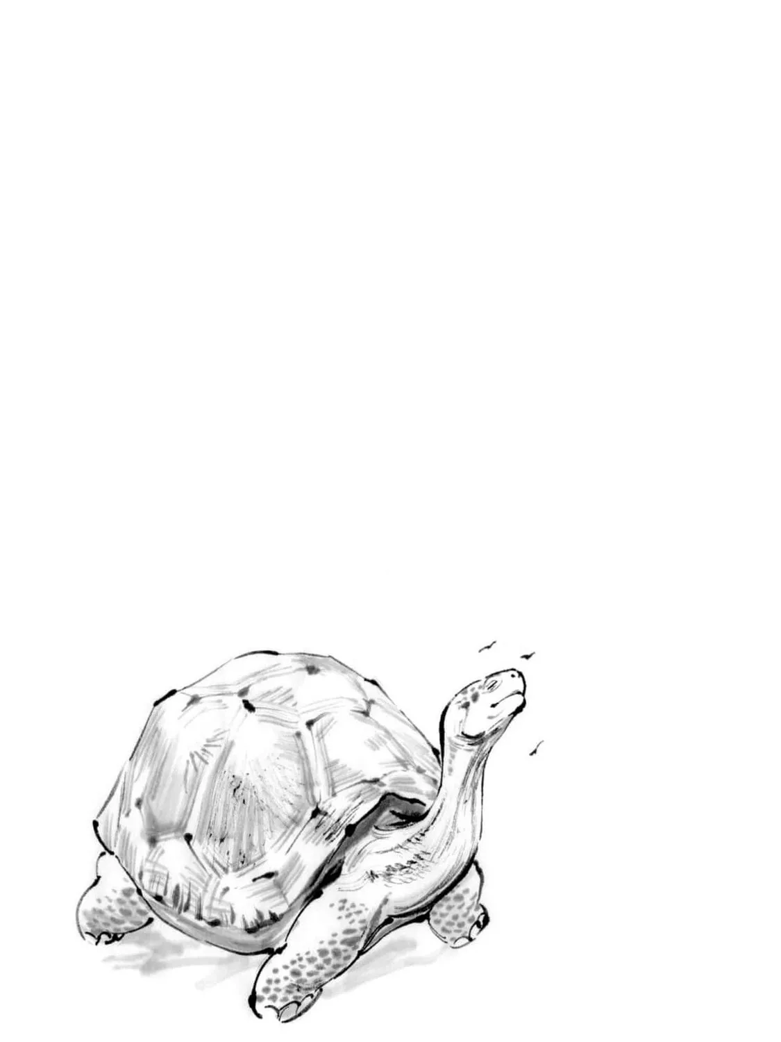 The Tiger Won't Eat the Dragon Yet. Chapter 18 page 3 - 