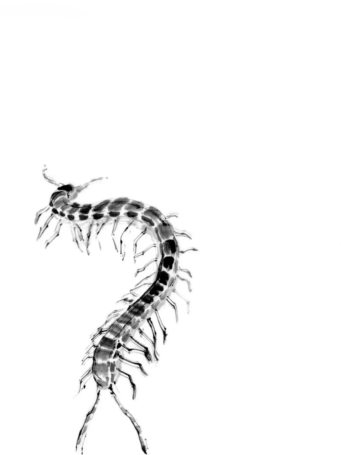 The Tiger Won't Eat the Dragon Yet. Chapter 22 page 3 - 