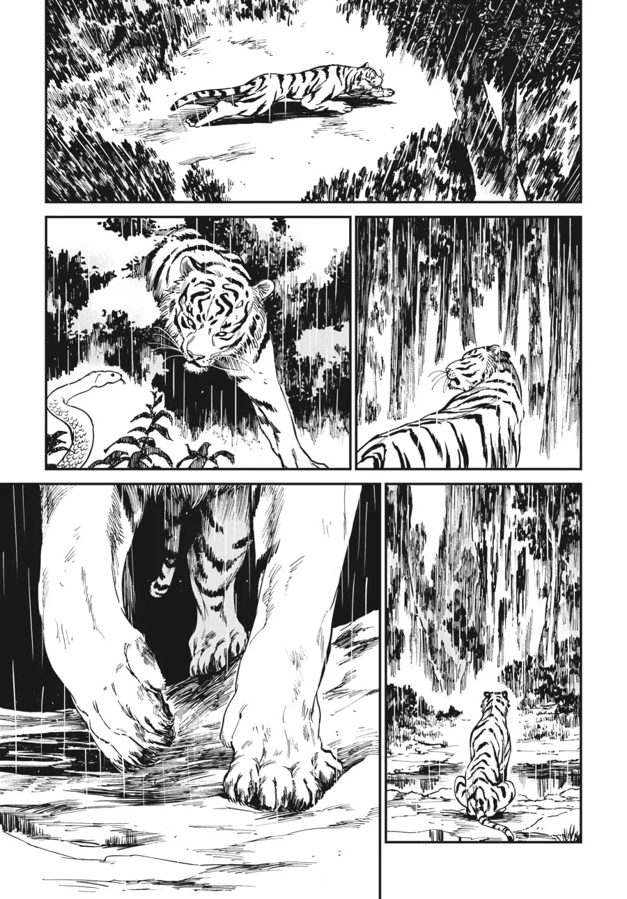 The Tiger Won't Eat the Dragon Yet. Chapter 4 page 13 - 