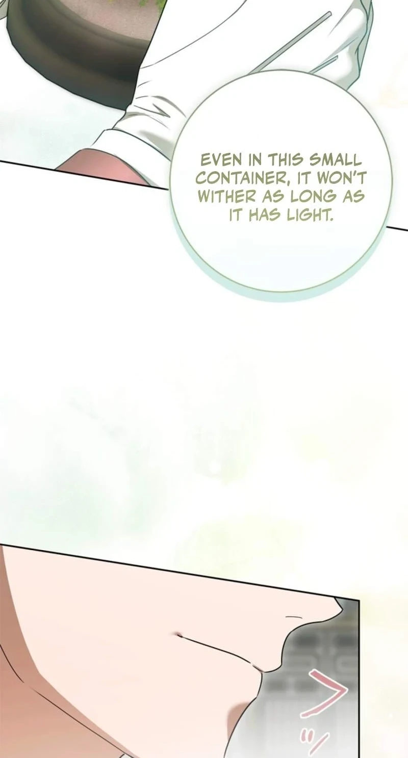 The Timid Lady of the Frontier Won't Give Up on Revenge Chapter 23 page 58 - 