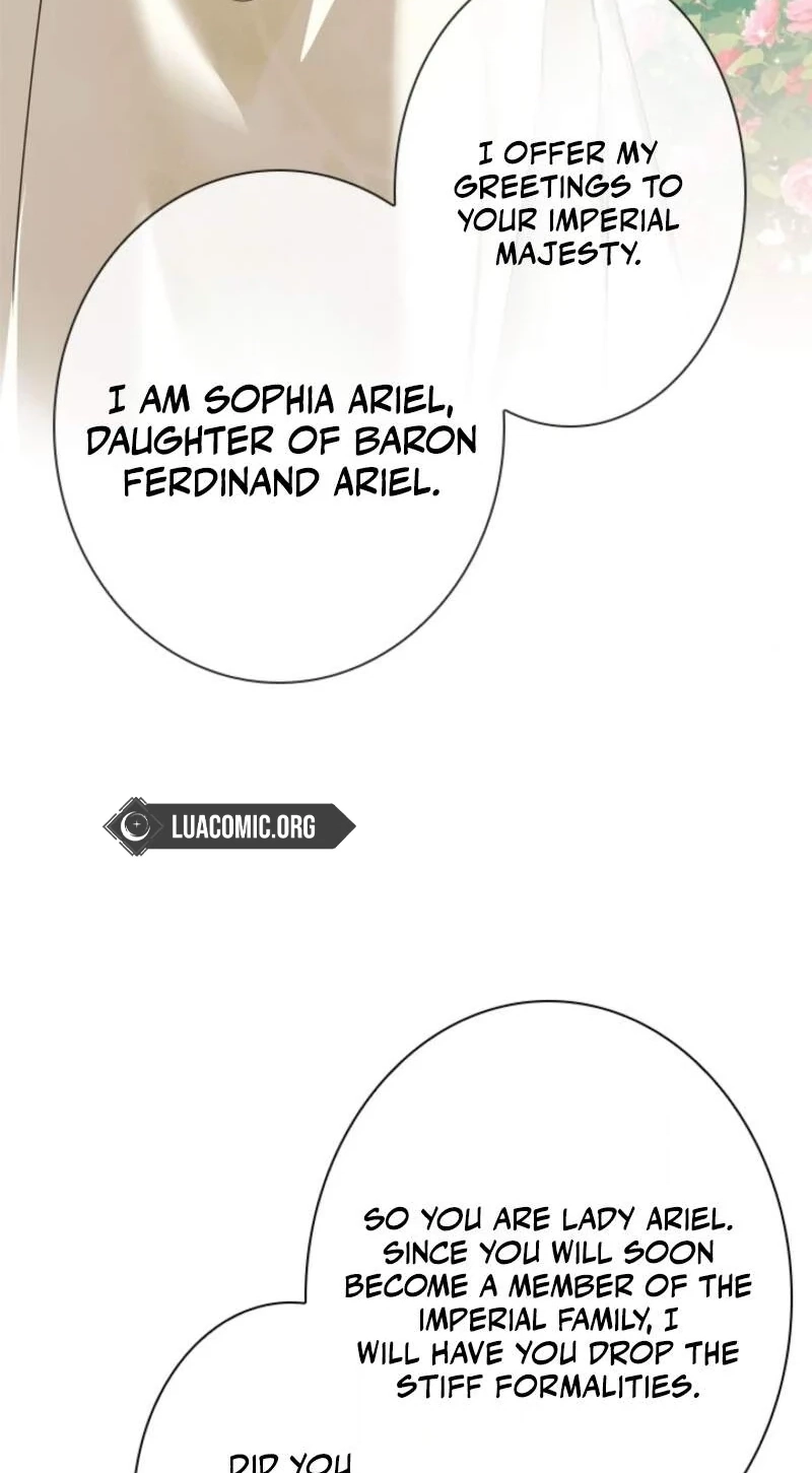 The Timid Lady of the Frontier Won't Give Up on Revenge Chapter 24 page 62 - 