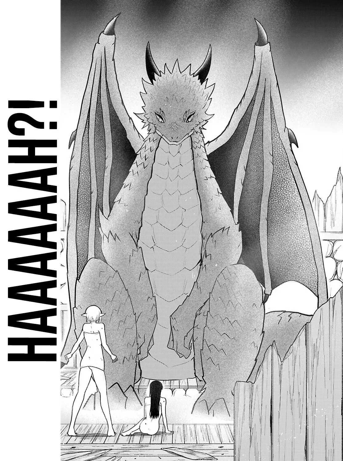 The Useless Hero Party Picks Up a Dragon Chapter 2 page 27 - 