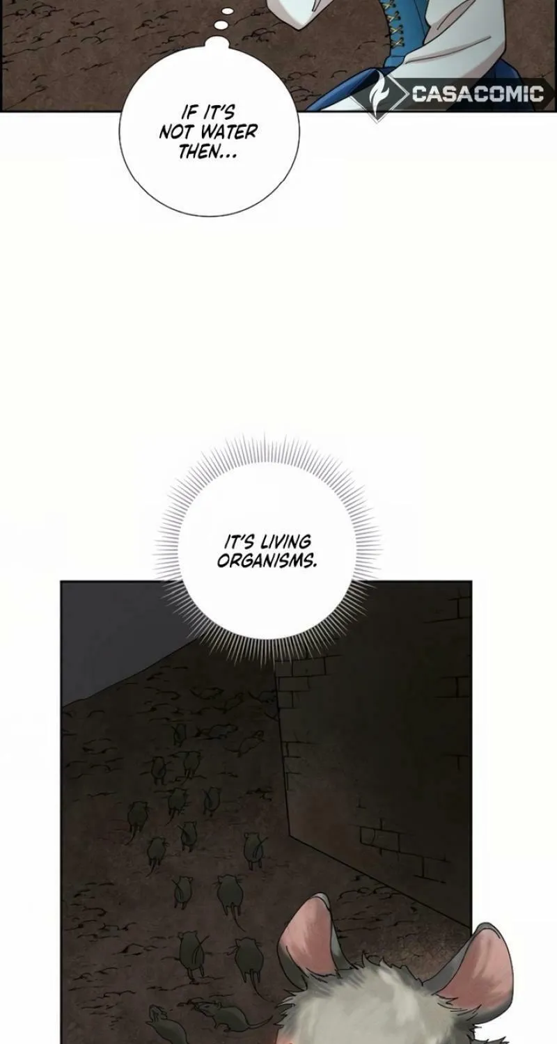 The Villainess's End Is Not a Choice Chapter 30 page 41 - 