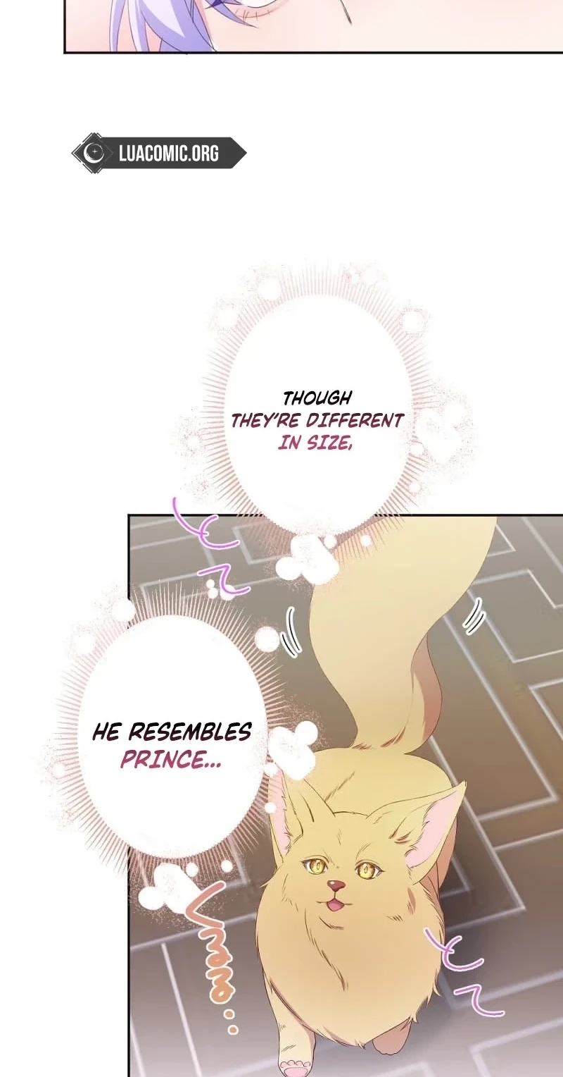 The Villainess Starting Over and the Strange Cold-Hearted Duke Chapter 28 page 7 - 