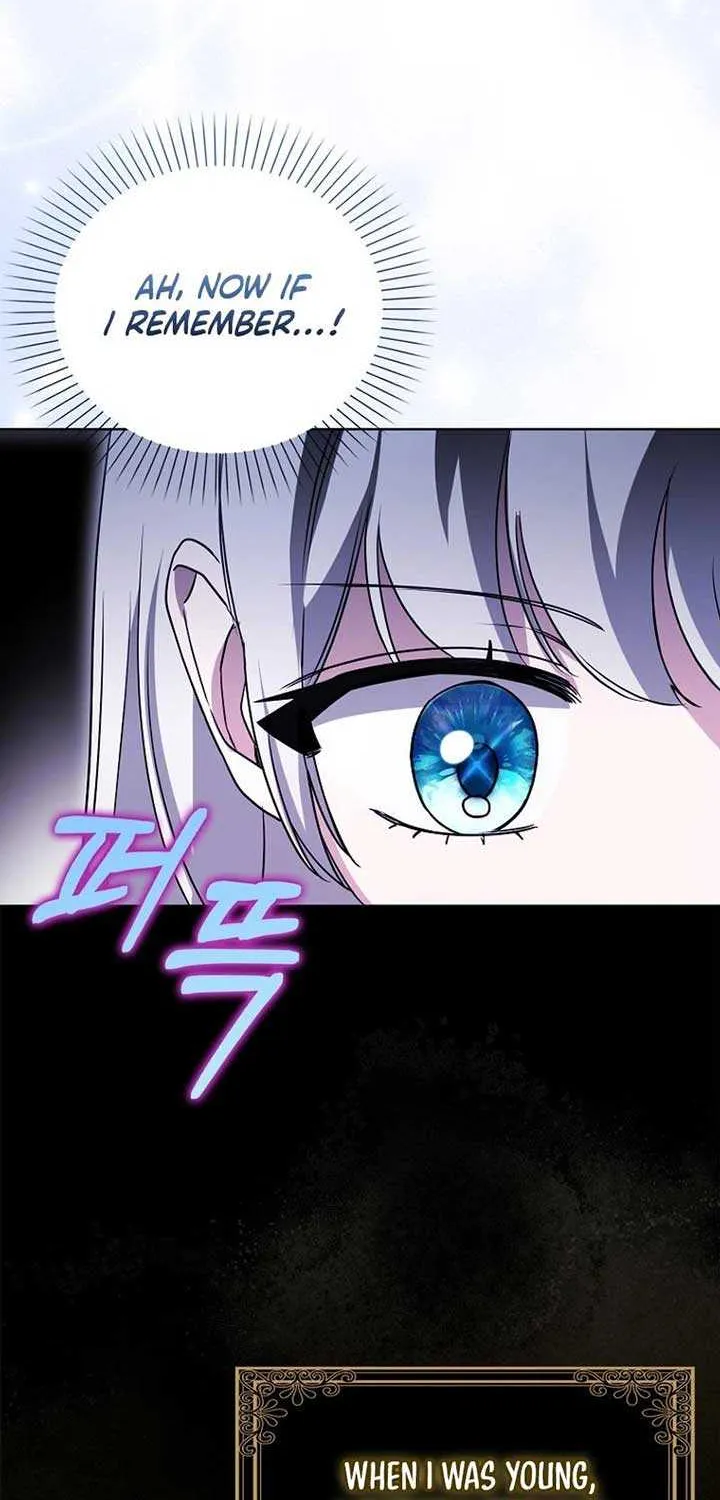 The Villainess’s Wise Retirement Plan Chapter 11 page 31 - 