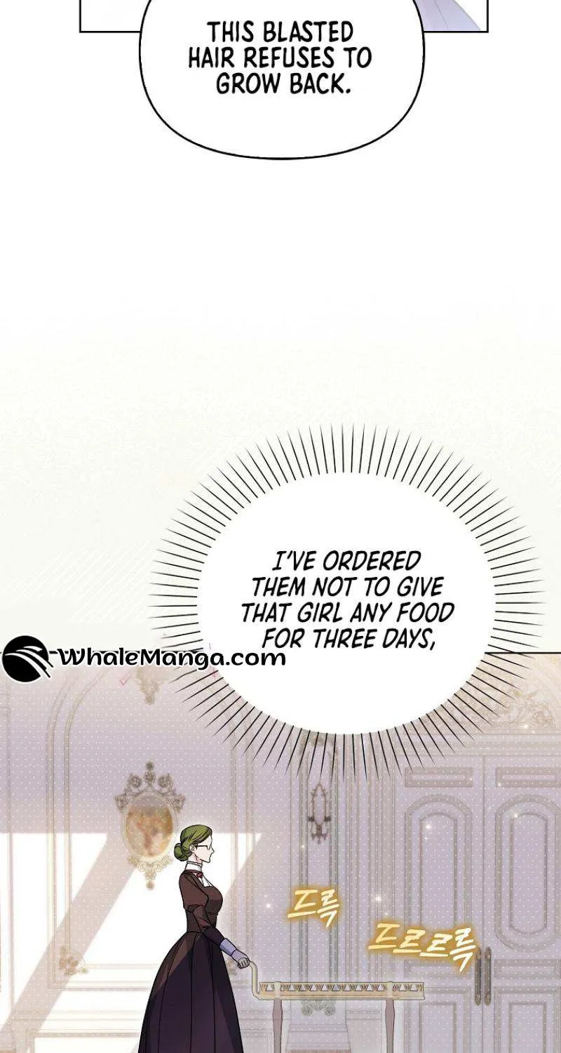 The Villainess’s Wise Retirement Plan Chapter 12 page 25 - 