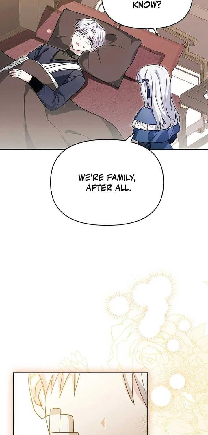 The Villainess’s Wise Retirement Plan Chapter 17 page 25 - 