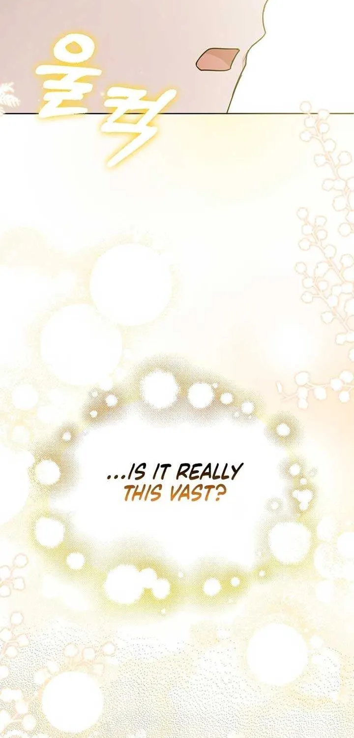 The Villainess’s Wise Retirement Plan Chapter 19 page 63 - 