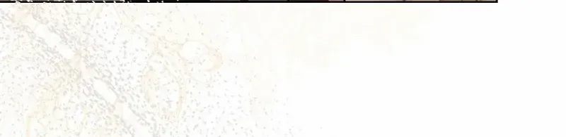 The Villainess’s Wise Retirement Plan Chapter 24 page 72 - 