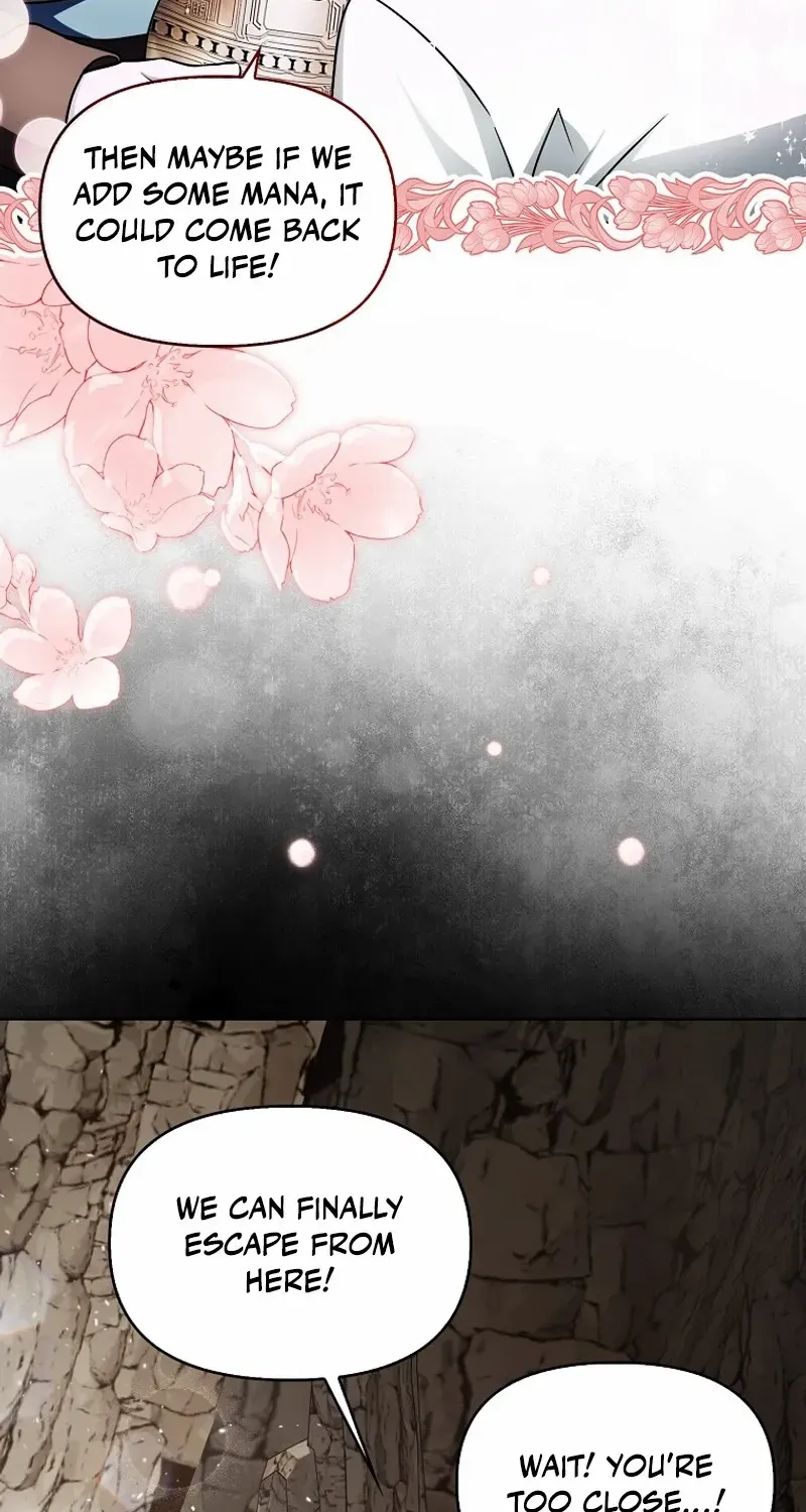 The Villainess’s Wise Retirement Plan Chapter 24 page 75 - 