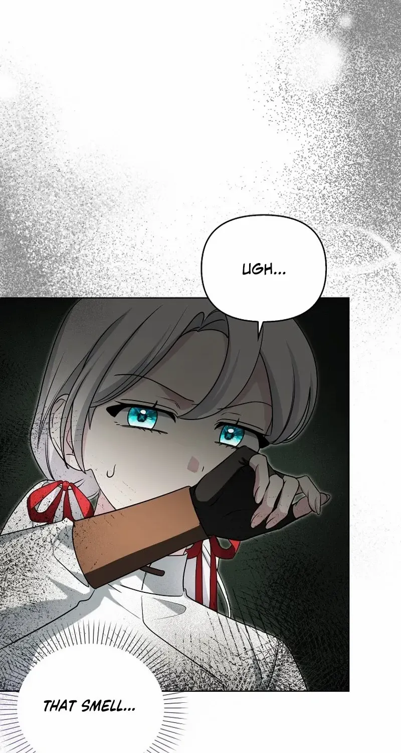 The Villainess’s Wise Retirement Plan Chapter 31 page 63 - 