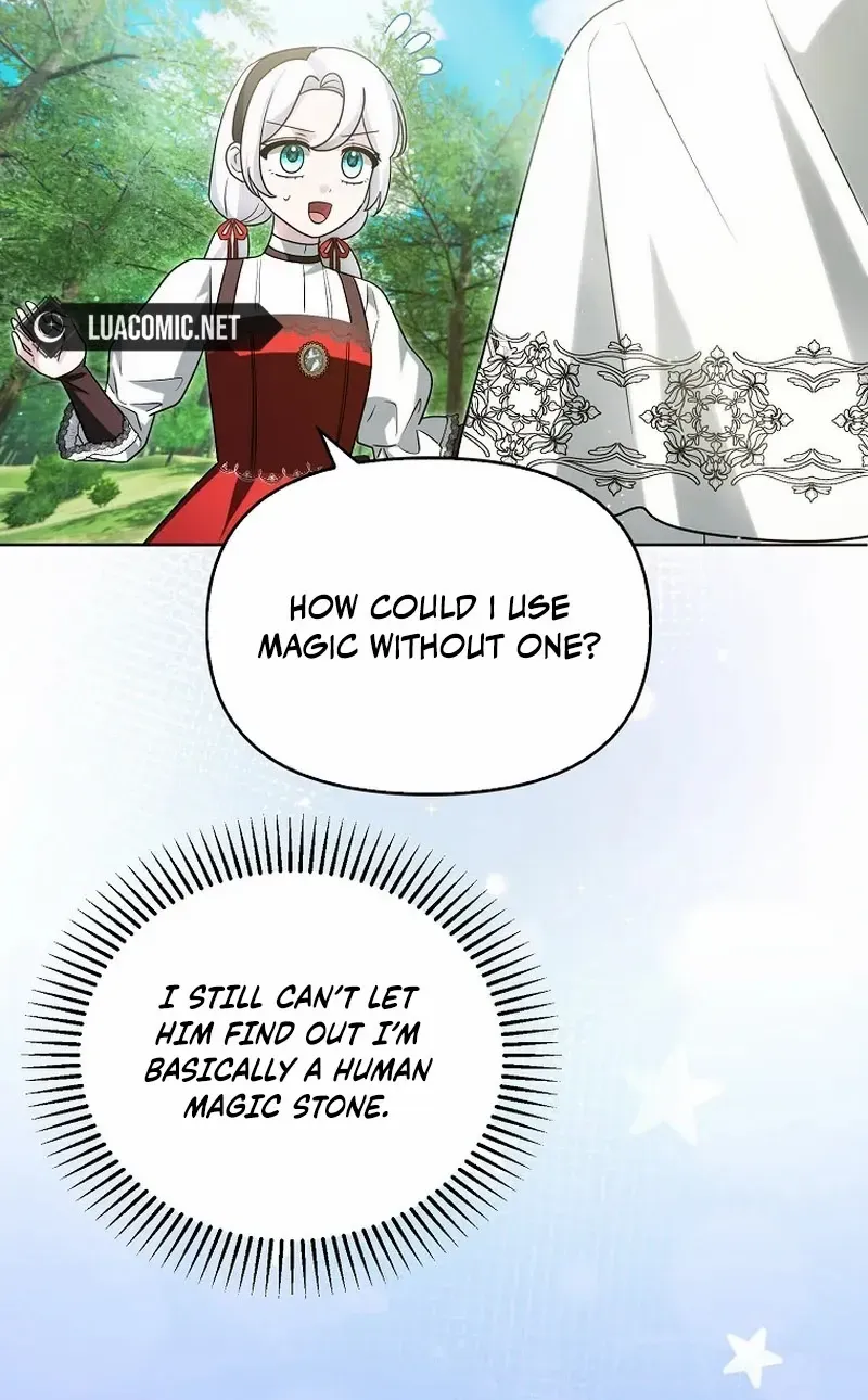 The Villainess’s Wise Retirement Plan Chapter 33 page 29 - 