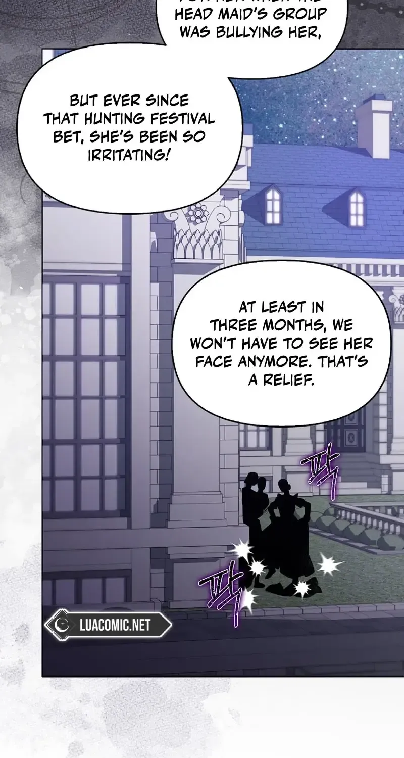 The Villainess’s Wise Retirement Plan Chapter 36 page 45 - 