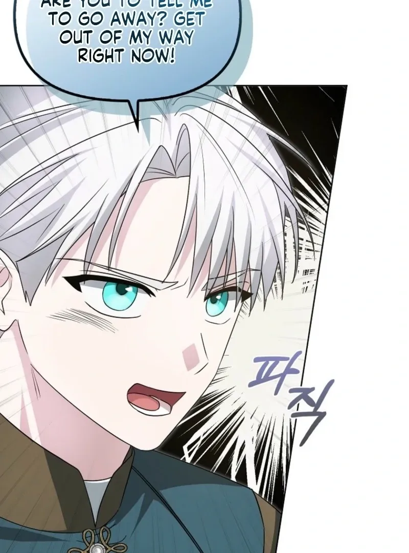 The Villainess’s Wise Retirement Plan Chapter 41 page 33 - 