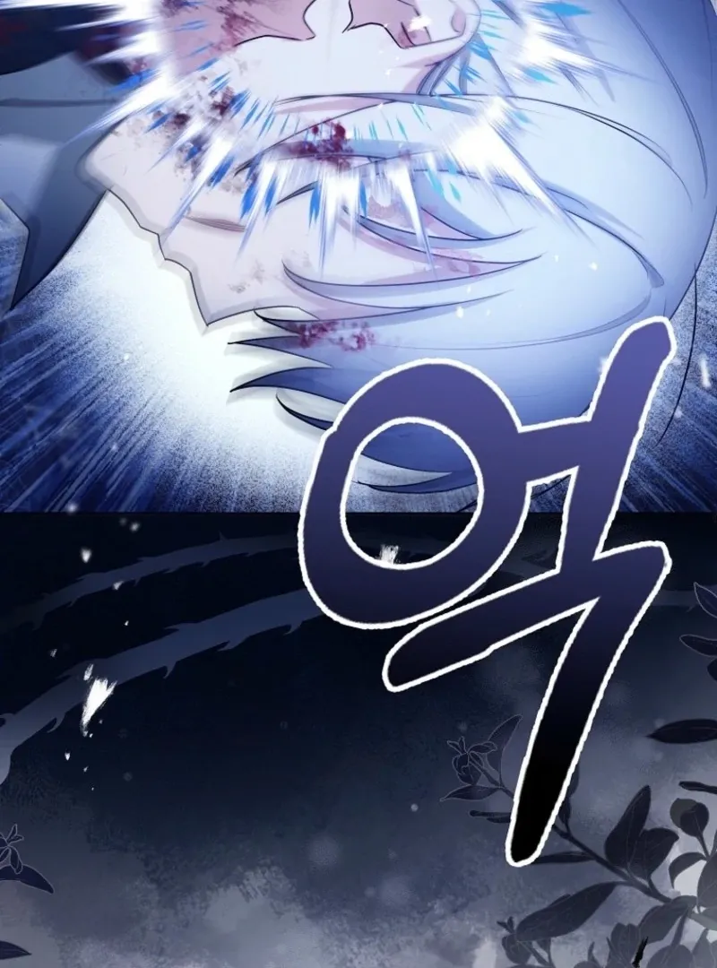 The Villainess’s Wise Retirement Plan Chapter 42 page 30 - 