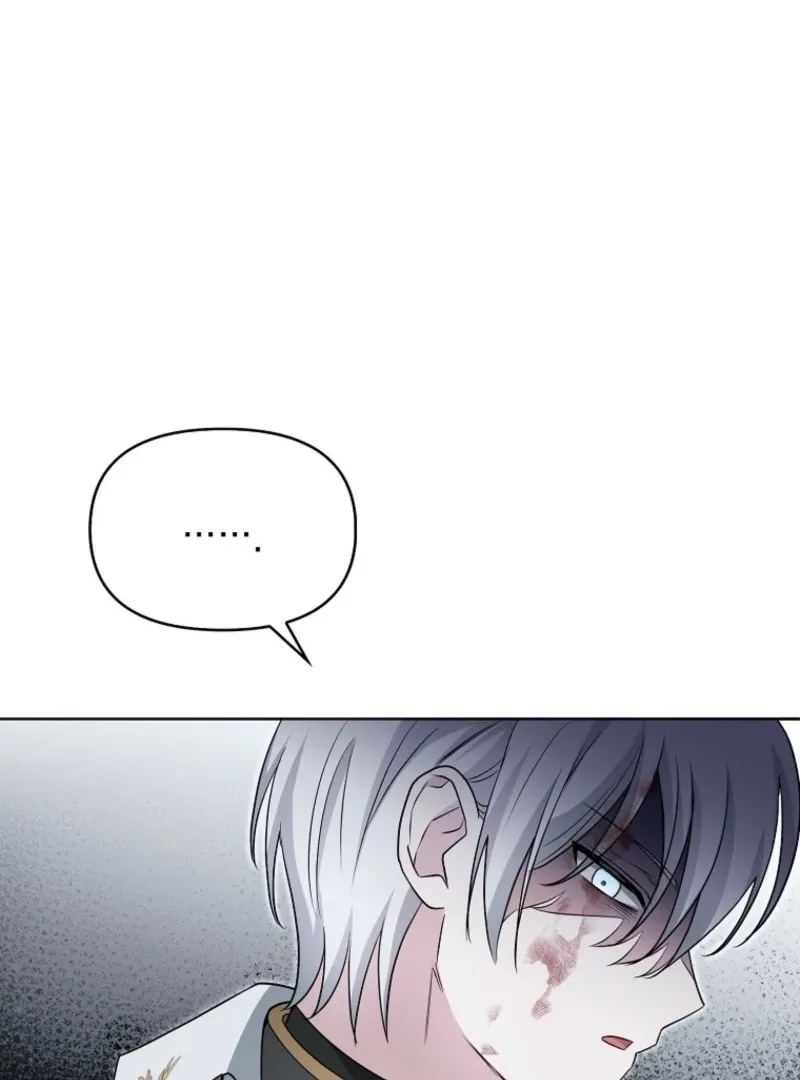 The Villainess’s Wise Retirement Plan Chapter 42 page 37 - 
