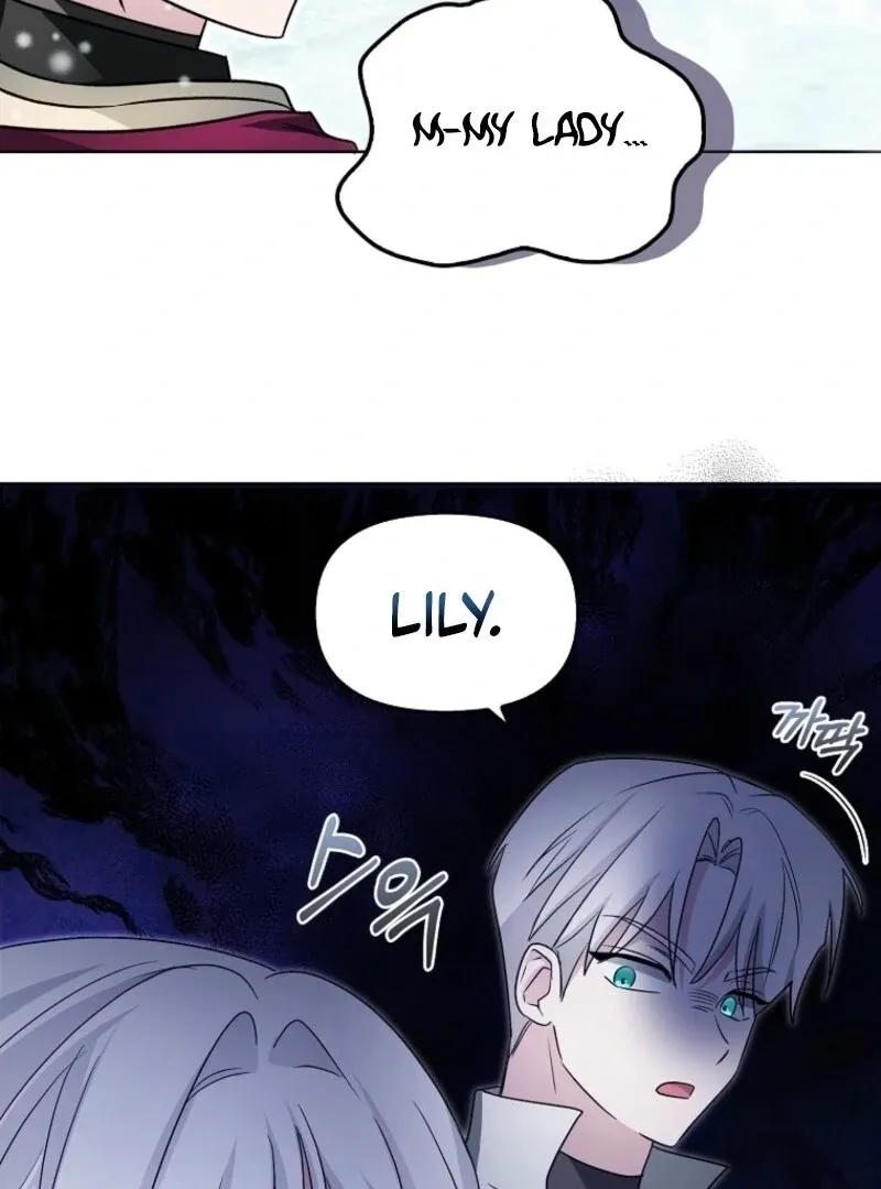 The Villainess’s Wise Retirement Plan Chapter 45 page 91 - 