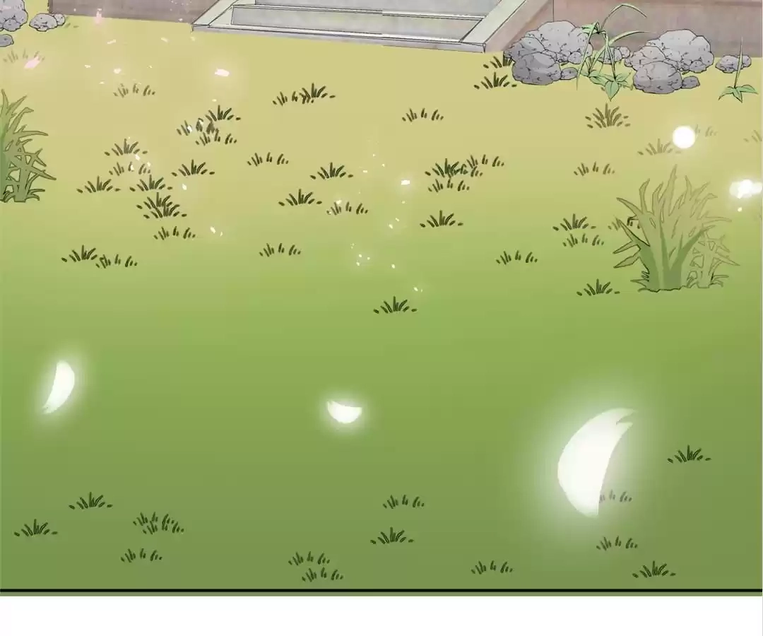 The Way Back to the Palace Chapter 43 page 5 - 