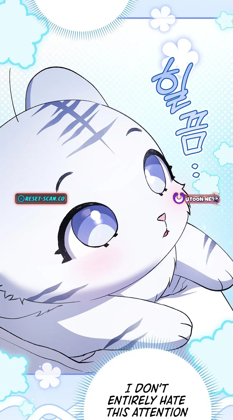 The White Tiger Princess Is Not Dangerous Chapter 2 page 11 - 