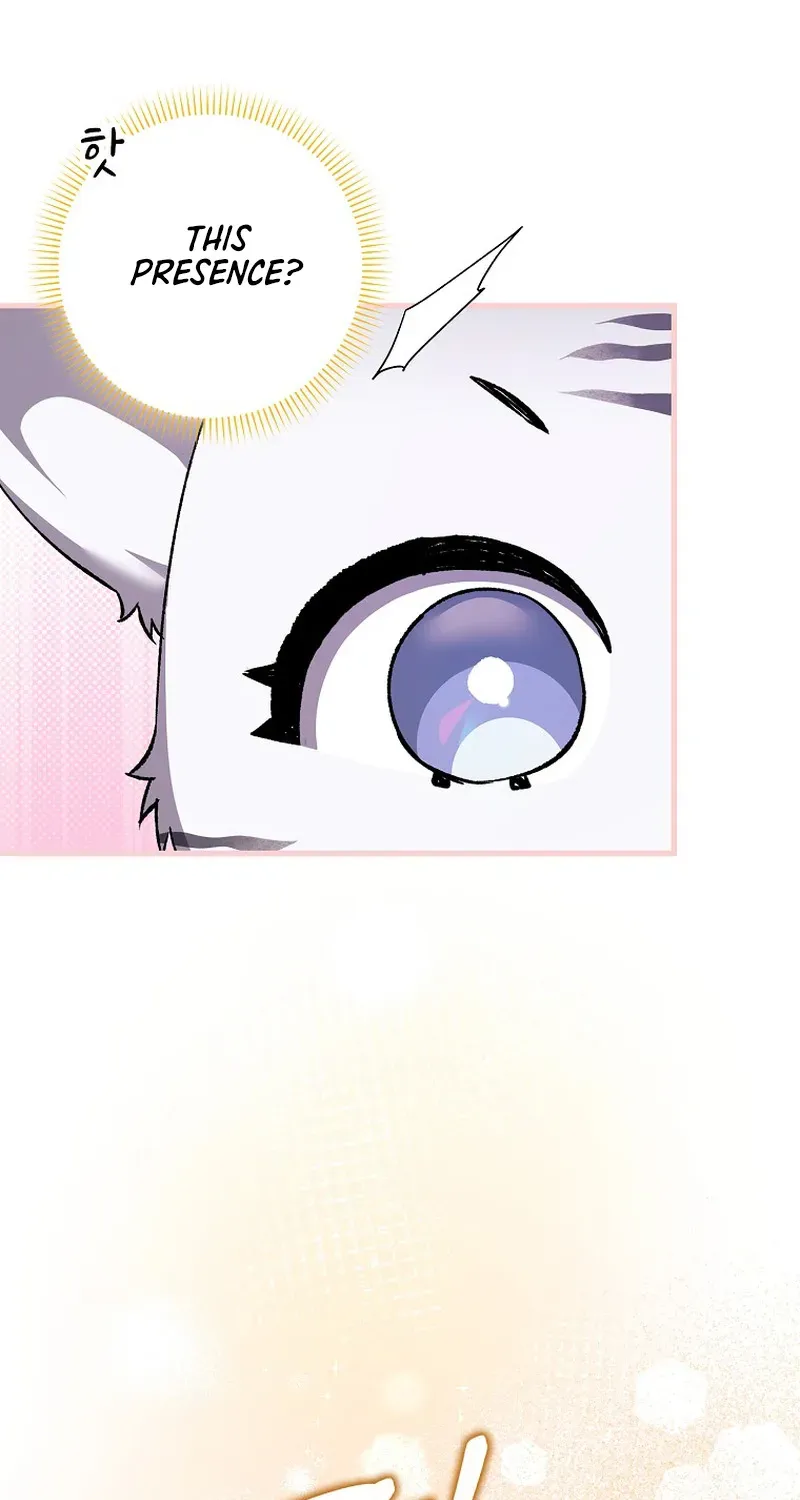 The White Tiger Princess Is Not Dangerous Chapter 2 page 43 - 