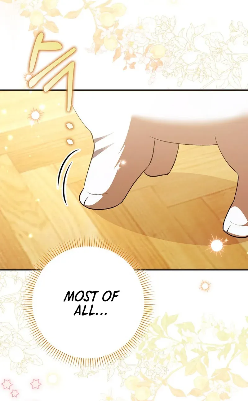 The White Tiger Princess Is Not Dangerous Chapter 2 page 59 - 
