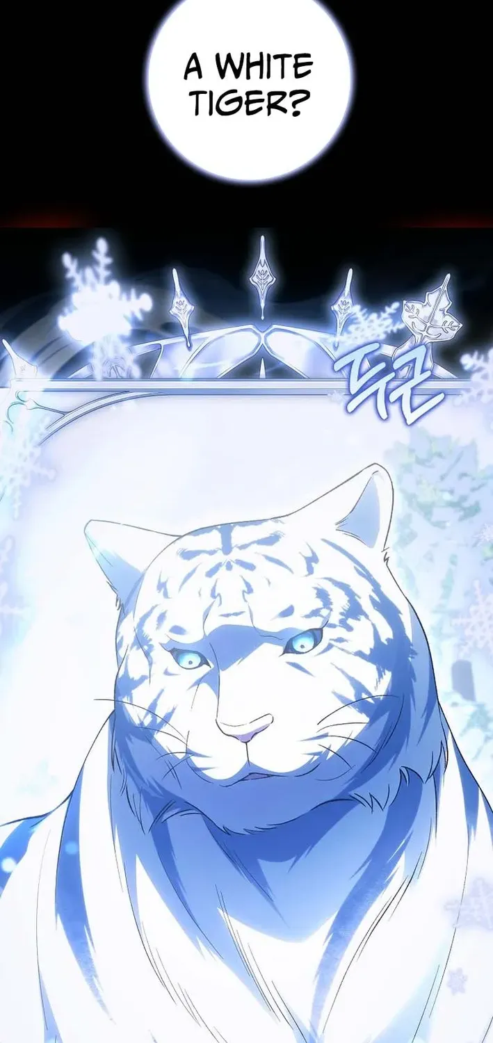 The White Tiger Princess Is Not Dangerous Chapter 3 page 2 - 