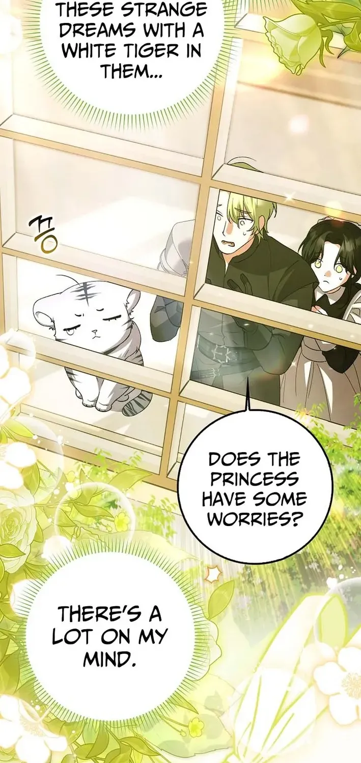 The White Tiger Princess Is Not Dangerous Chapter 3 page 17 - 