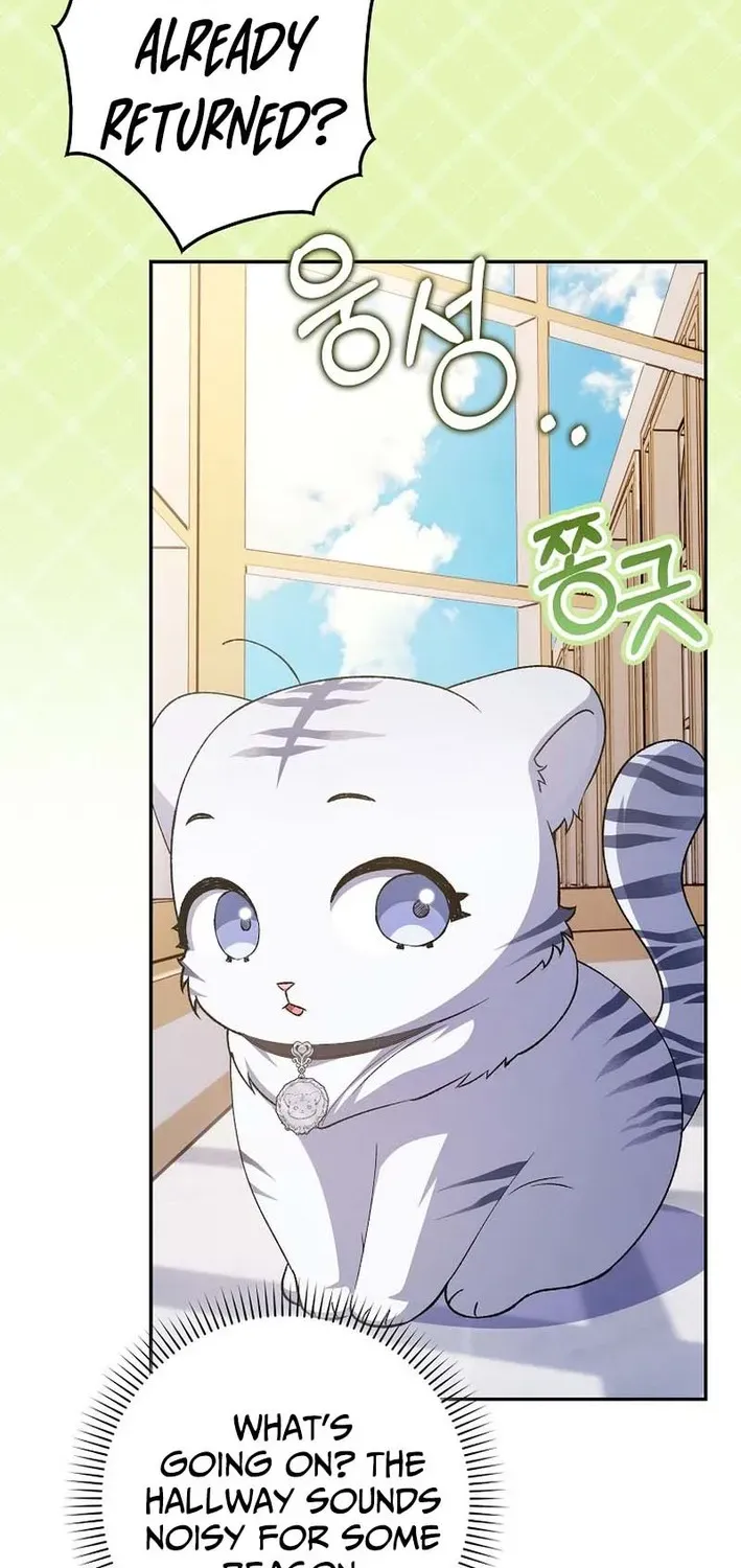 The White Tiger Princess Is Not Dangerous Chapter 3 page 19 - 