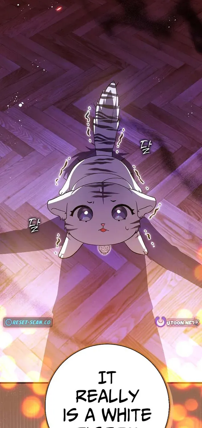 The White Tiger Princess Is Not Dangerous Chapter 3 page 29 - 