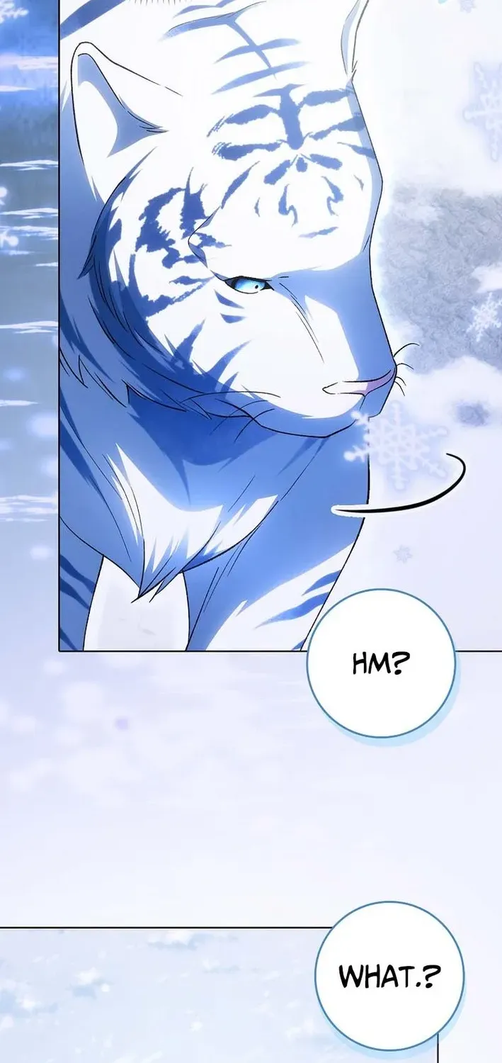The White Tiger Princess Is Not Dangerous Chapter 3 page 4 - 