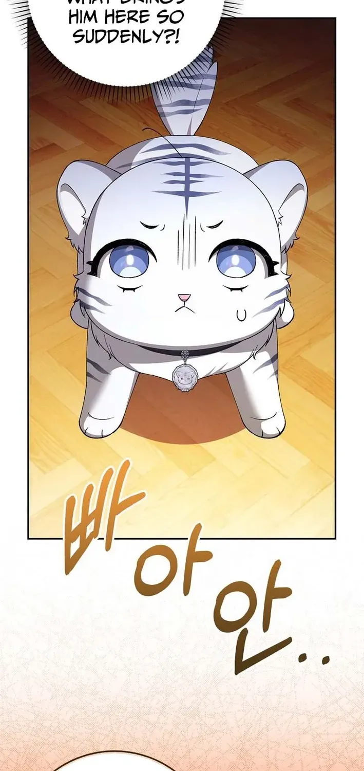 The White Tiger Princess Is Not Dangerous Chapter 3 page 42 - 