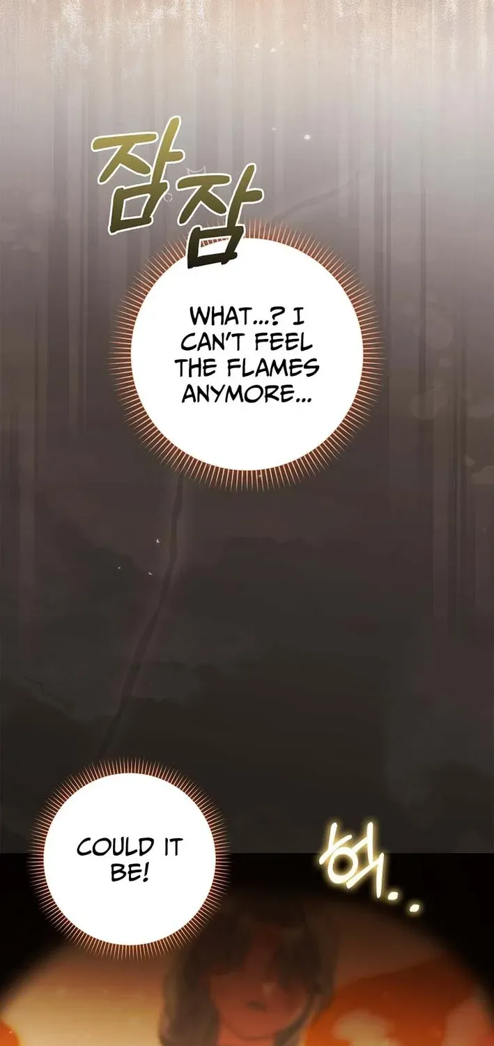 The White Tiger Princess Is Not Dangerous Chapter 3 page 58 - 