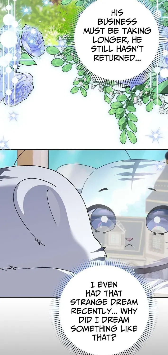 The White Tiger Princess Is Not Dangerous Chapter 3 page 10 - 