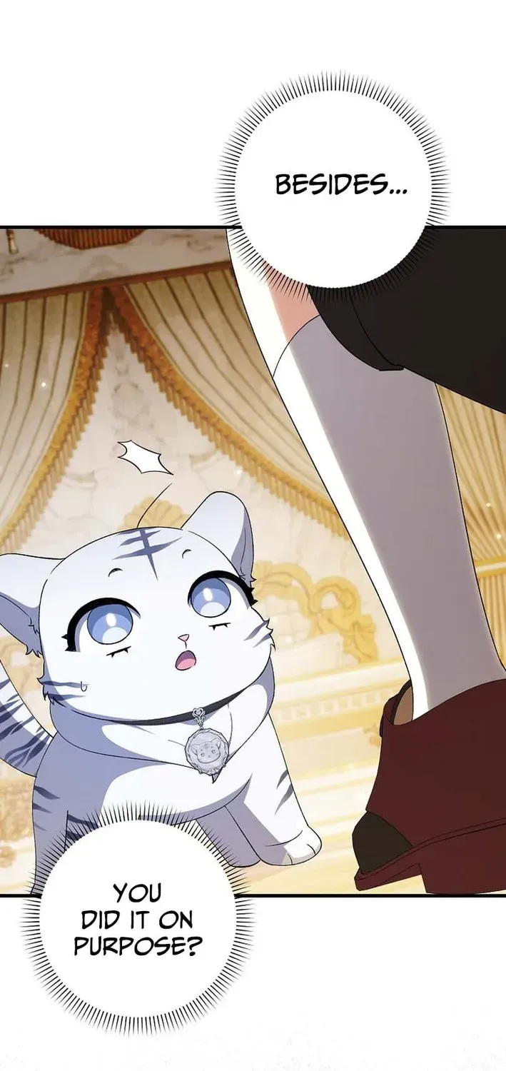 The White Tiger Princess Is Not Dangerous Chapter 4 page 15 - 