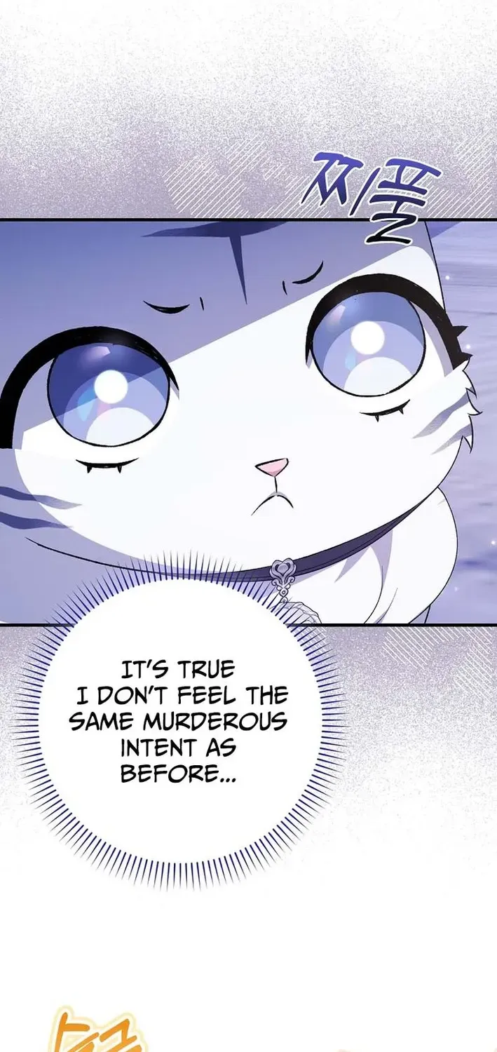 The White Tiger Princess Is Not Dangerous Chapter 4 page 16 - 