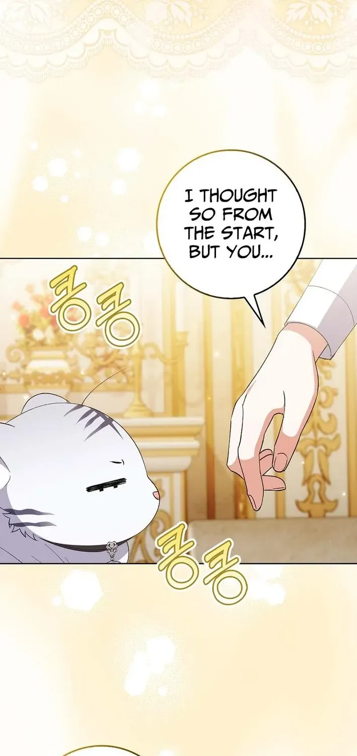 The White Tiger Princess Is Not Dangerous Chapter 4 page 18 - 