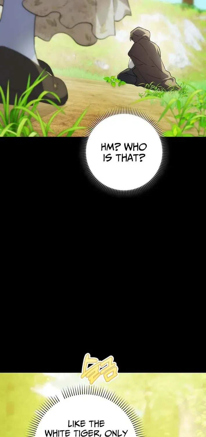 The White Tiger Princess Is Not Dangerous Chapter 4 page 47 - 