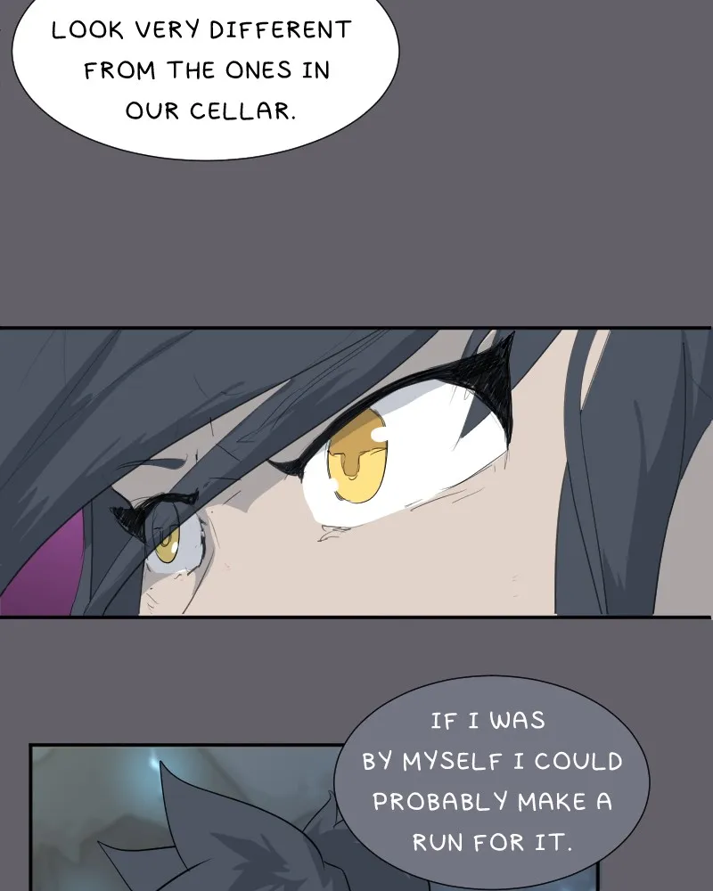 The Wildlands Chapter 7 page 13 - 