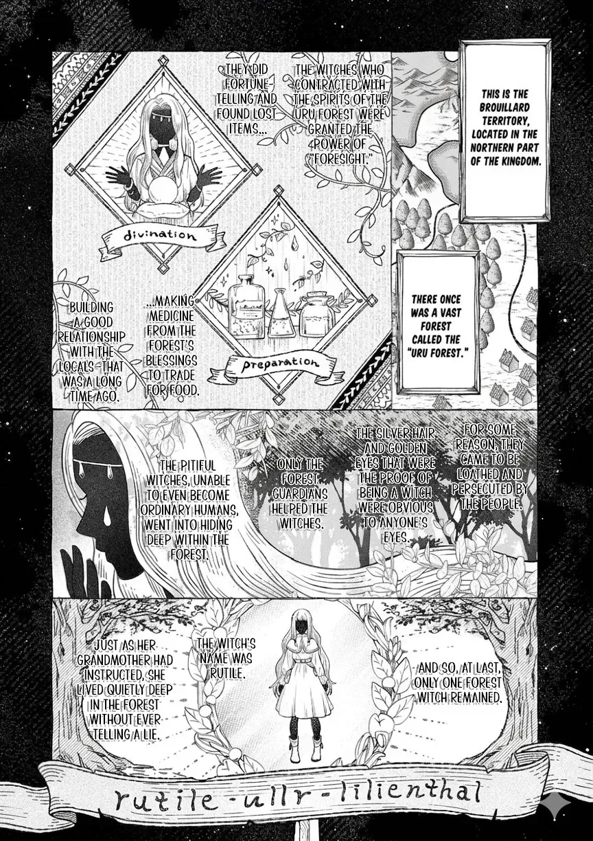 The Witch of Ullr's Forest Chapter 1 page 11 - 