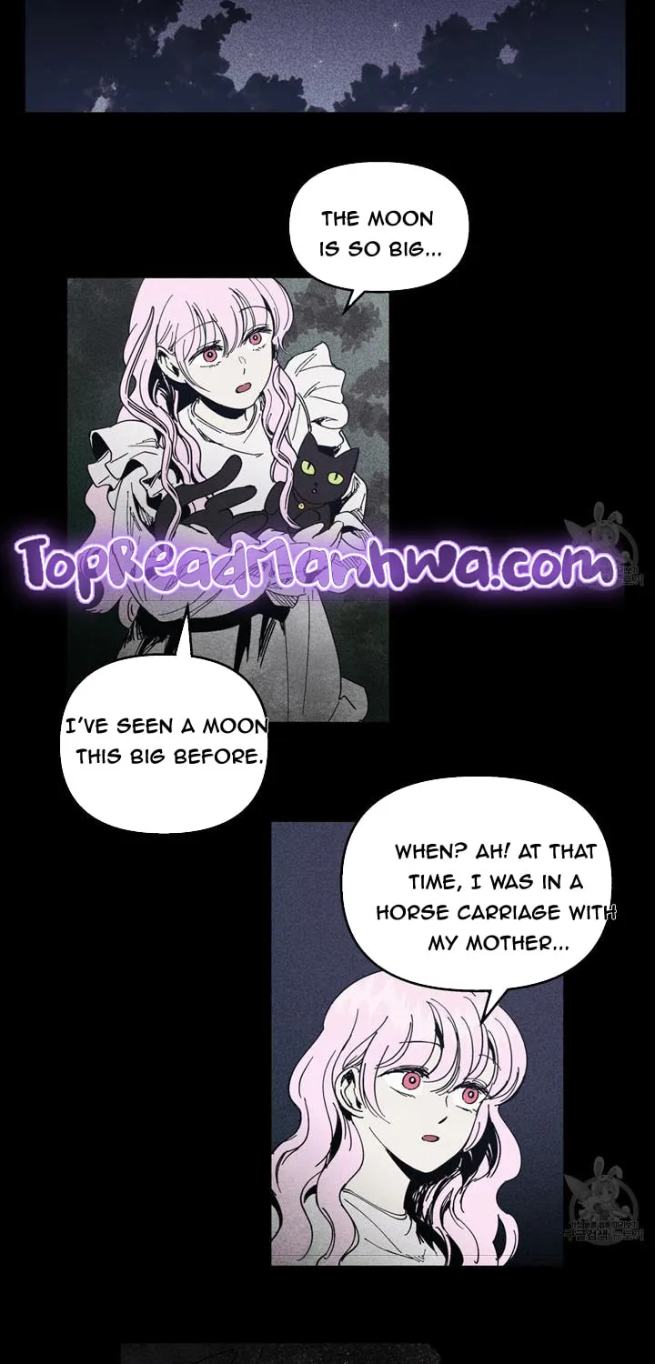 The Witches' Isle Chapter 13 page 31 - 