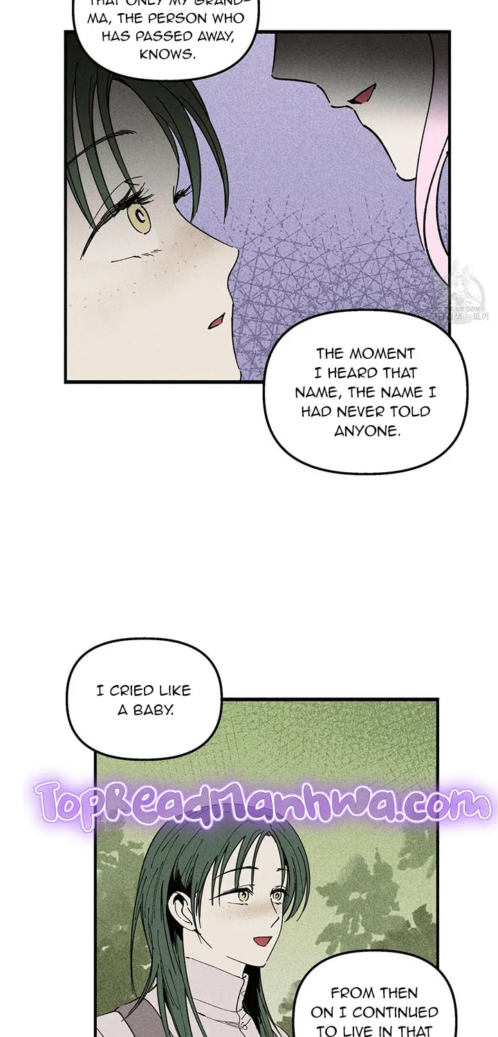 The Witches' Isle Chapter 28 page 46 - 