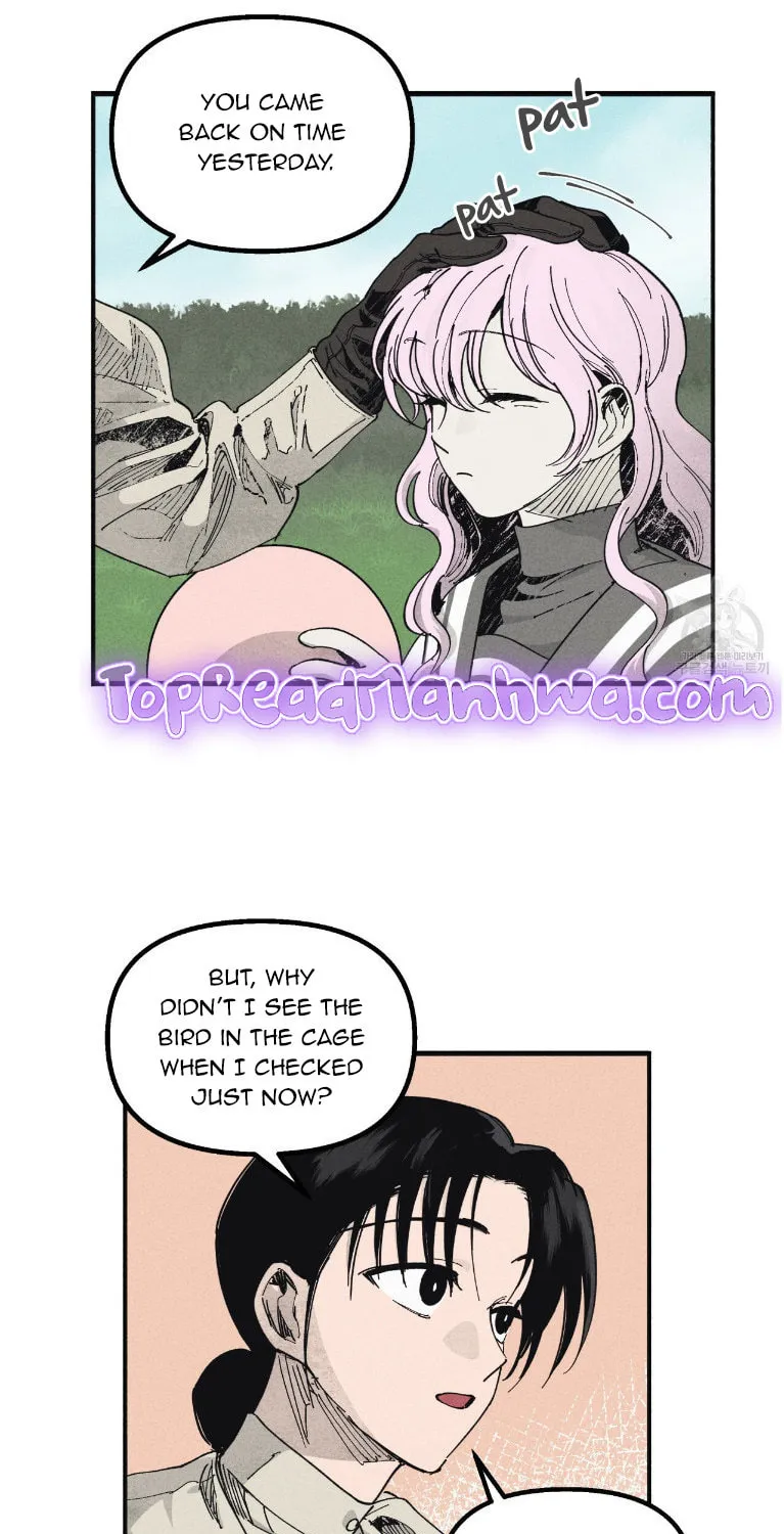 The Witches' Isle Chapter 4 page 5 - 