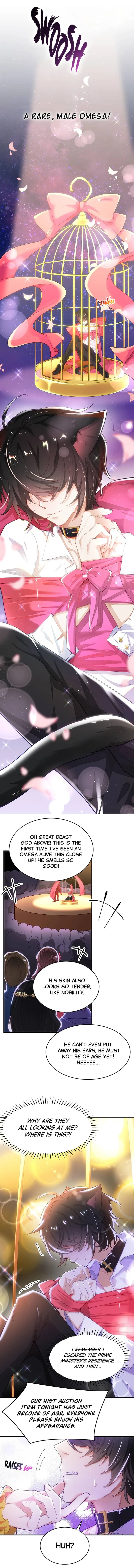 The Wolf Marshal’s Double Doting Chapter 1 page 3 - 