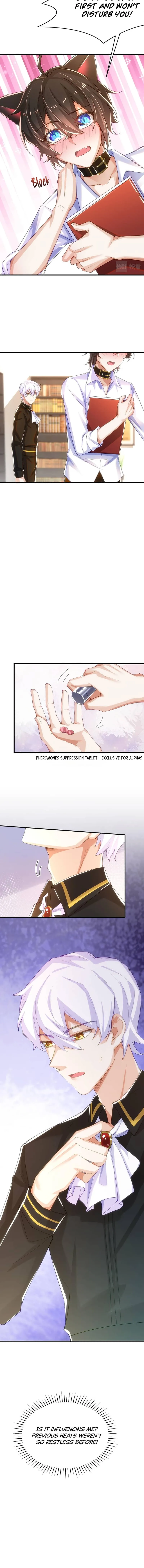 The Wolf Marshal’s Double Doting Chapter 12 page 5 - 